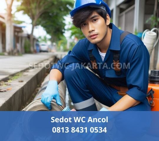 Sedot WC Ancol