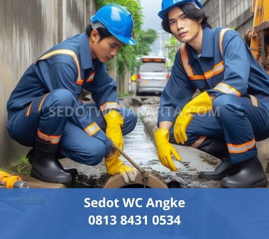 Sedot WC Angke