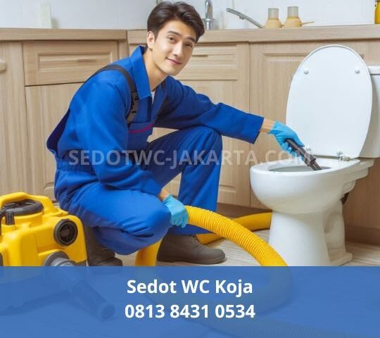 Sedot WC Koja