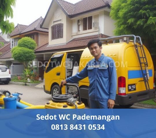 Sedot WC Pademangan