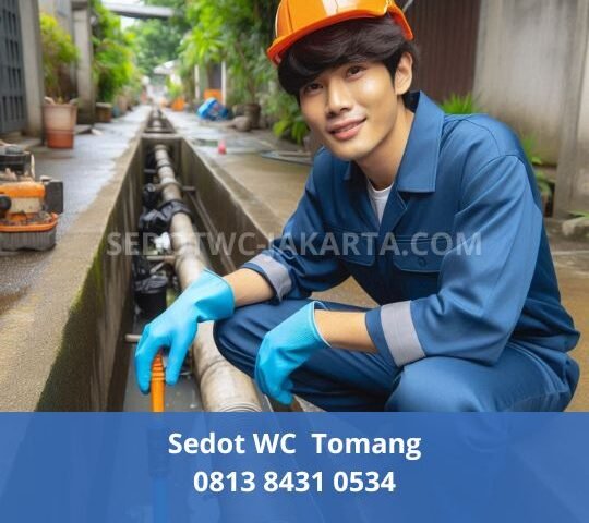 Sedot WC Tomang