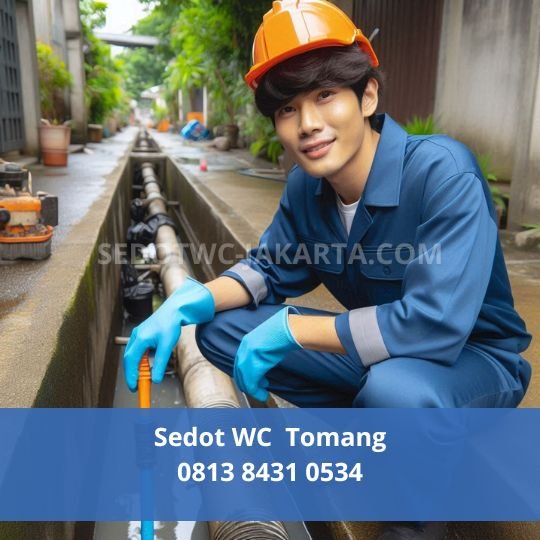 Sedot WC Tomang