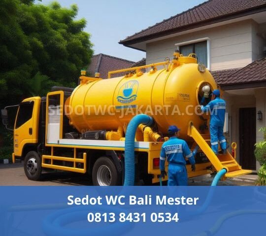 Sedot WC Bali Mester