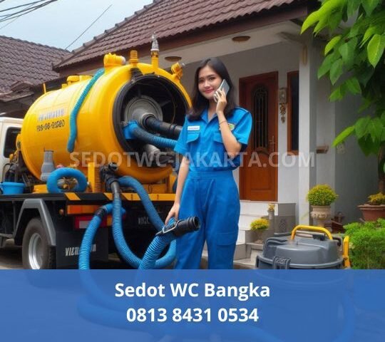 Sedot WC Bangka