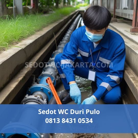 Sedot WC Duri Pulo