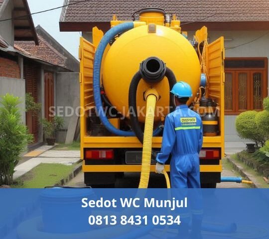 Sedot WC Munjul