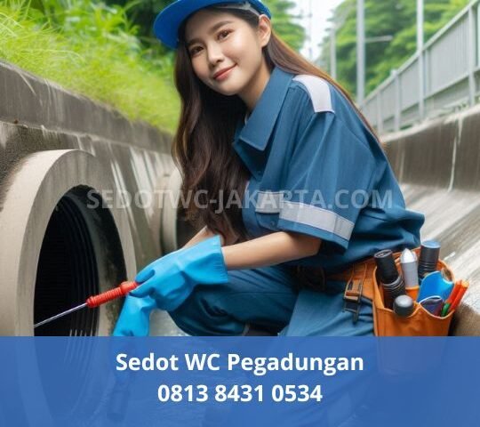 Sedot WC Pegadungan