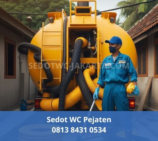 Sedot WC Pejaten