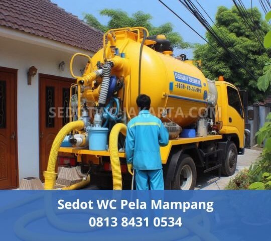 Sedot WC Pela Mampang