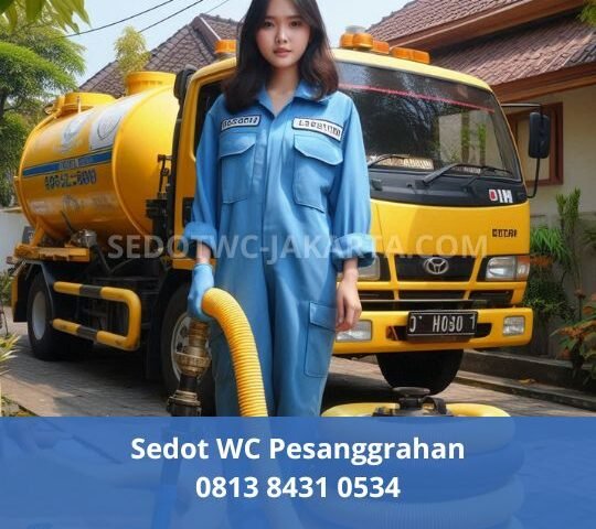 Sedot WC Pesanggrahan