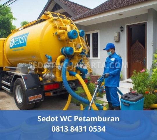 Sedot WC Petamburan