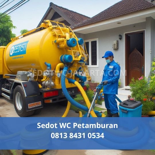 Sedot WC Petamburan