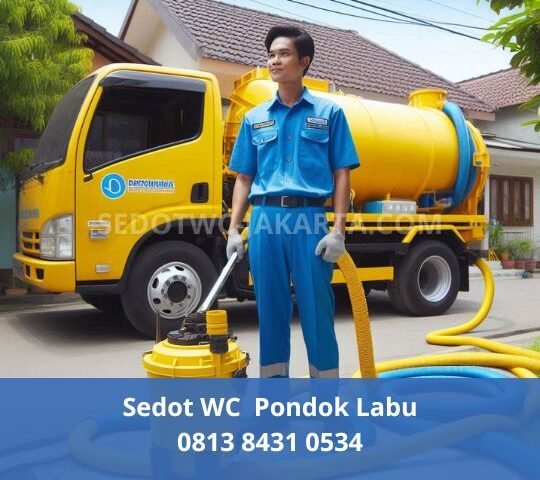 Sedot WC Pondok Labu