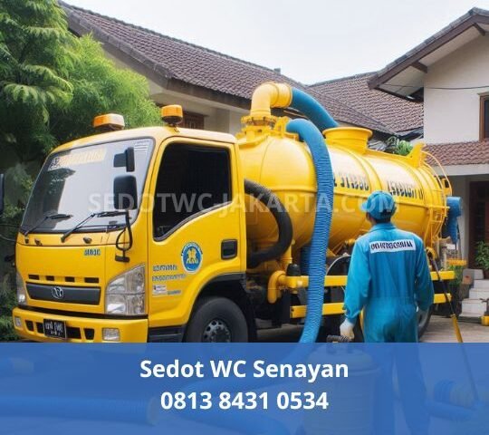 Sedot WC Senayan