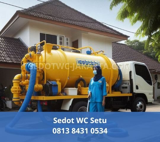 Sedot WC Setu